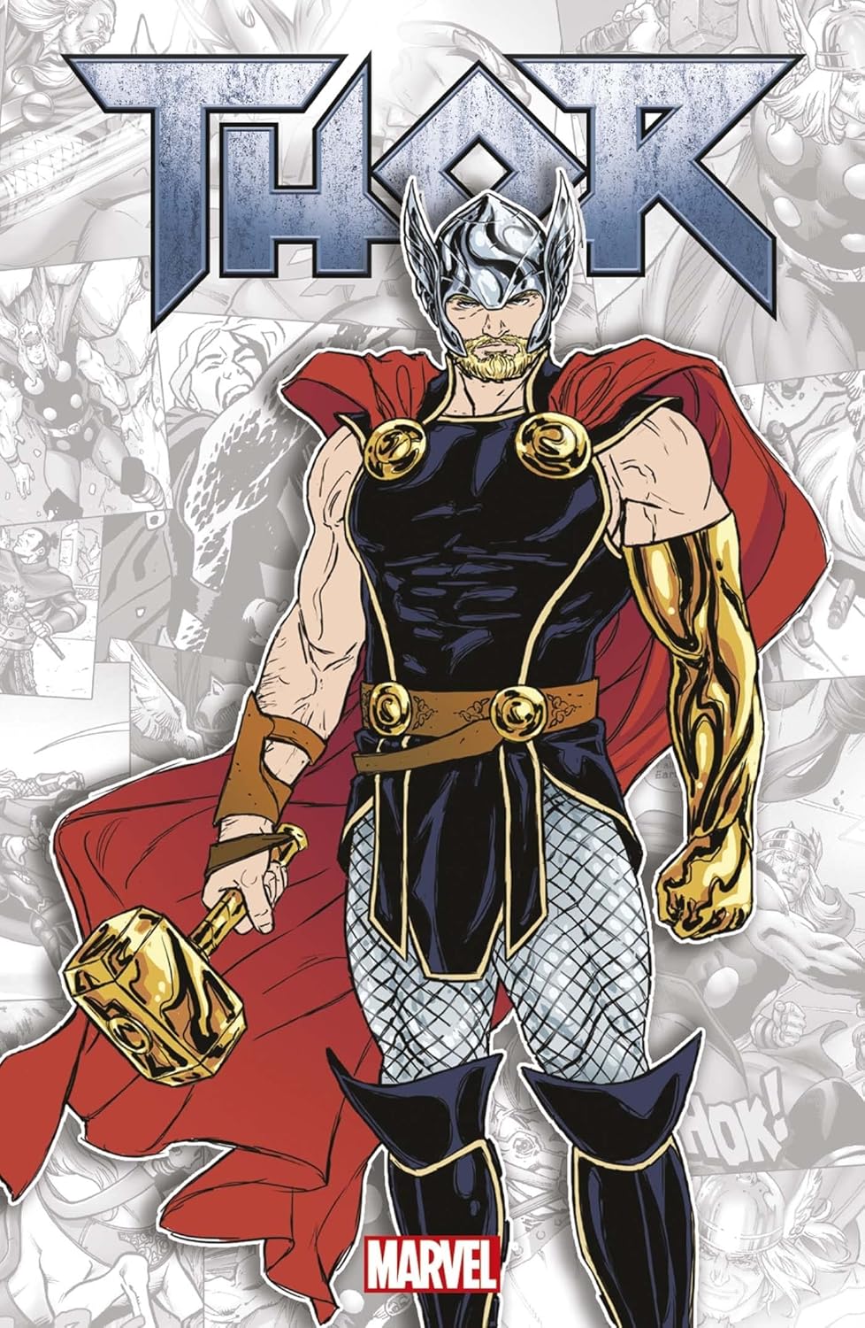 

Marvel-Verse : Thor (PANINI)