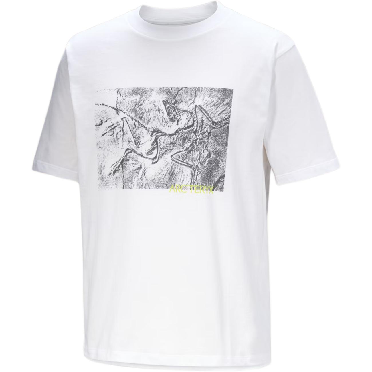 Футболка Kragg graphic Arcteryx, sandstone коричневый/canvas — фото 2