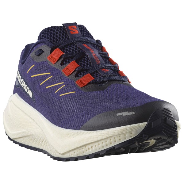 

Aero Blaze 3 grvl - кроссовки для бега Salomon, мультиколор