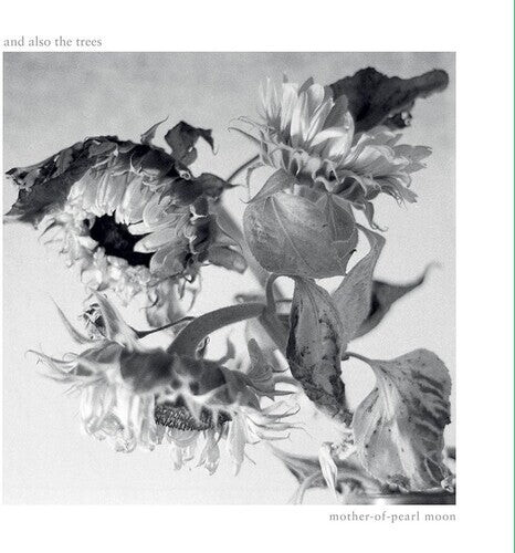 

CD диск And Also the Trees: Mother-Of-Pearl Moon