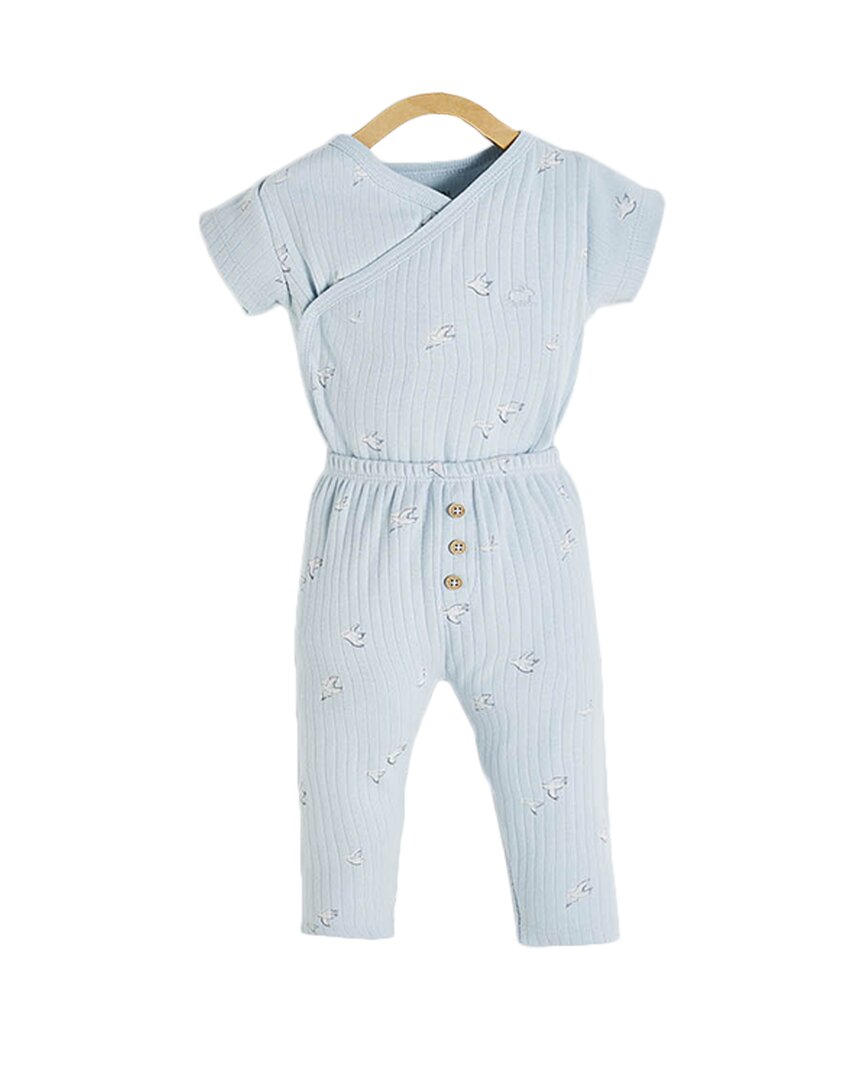 

Боди и трусики Babycottons Goose Crossed, синий