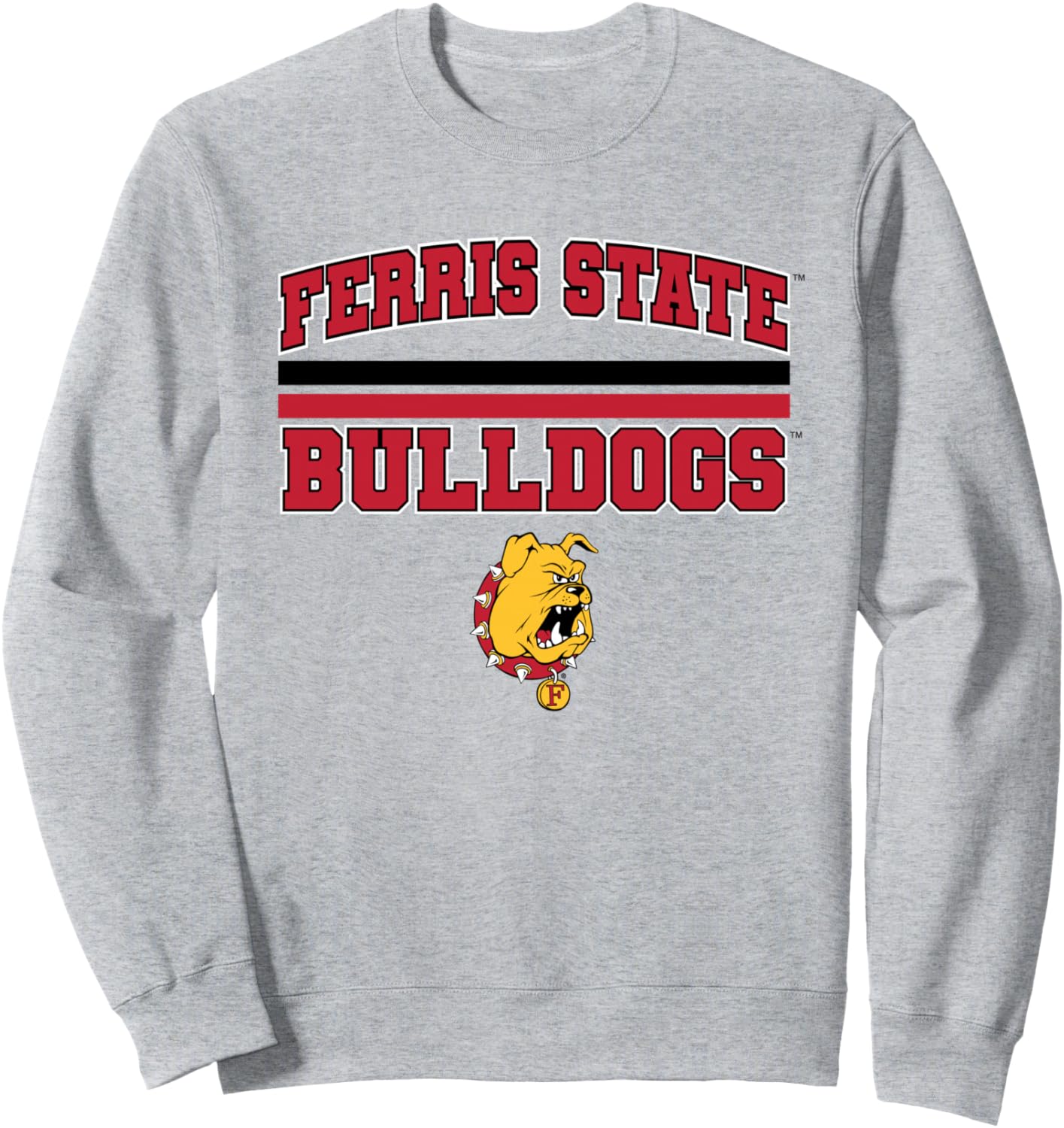 

Футболка Ferris State Bulldogs, Официальная университетская футболка NCAA, NAFPFER01 License Champs, серый