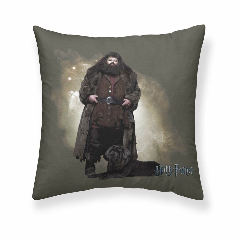 

Чехол на подушку Гарри Поттер Хагрид 50 x 50 см Harry Potter Shop