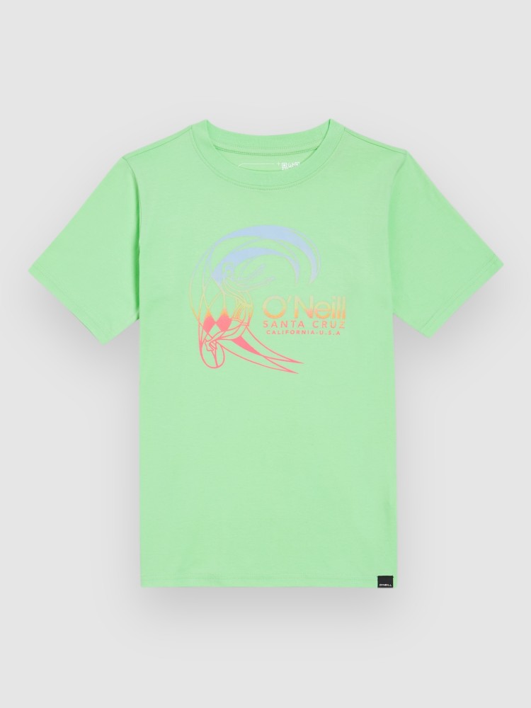 

Футболка O'Neill Circle Surfer Kids T-Shirt, neon green, Зеленый, Футболка O'Neill Circle Surfer Kids T-Shirt, neon green