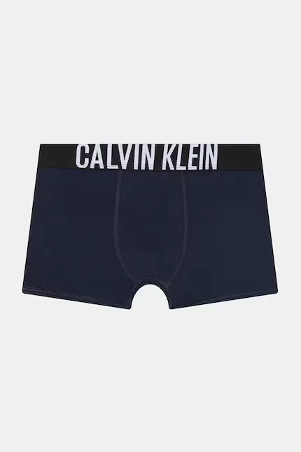 Боксеры детские из хлопка с эластаном 2 шт Calvin Klein Underwear, серый — фото 3