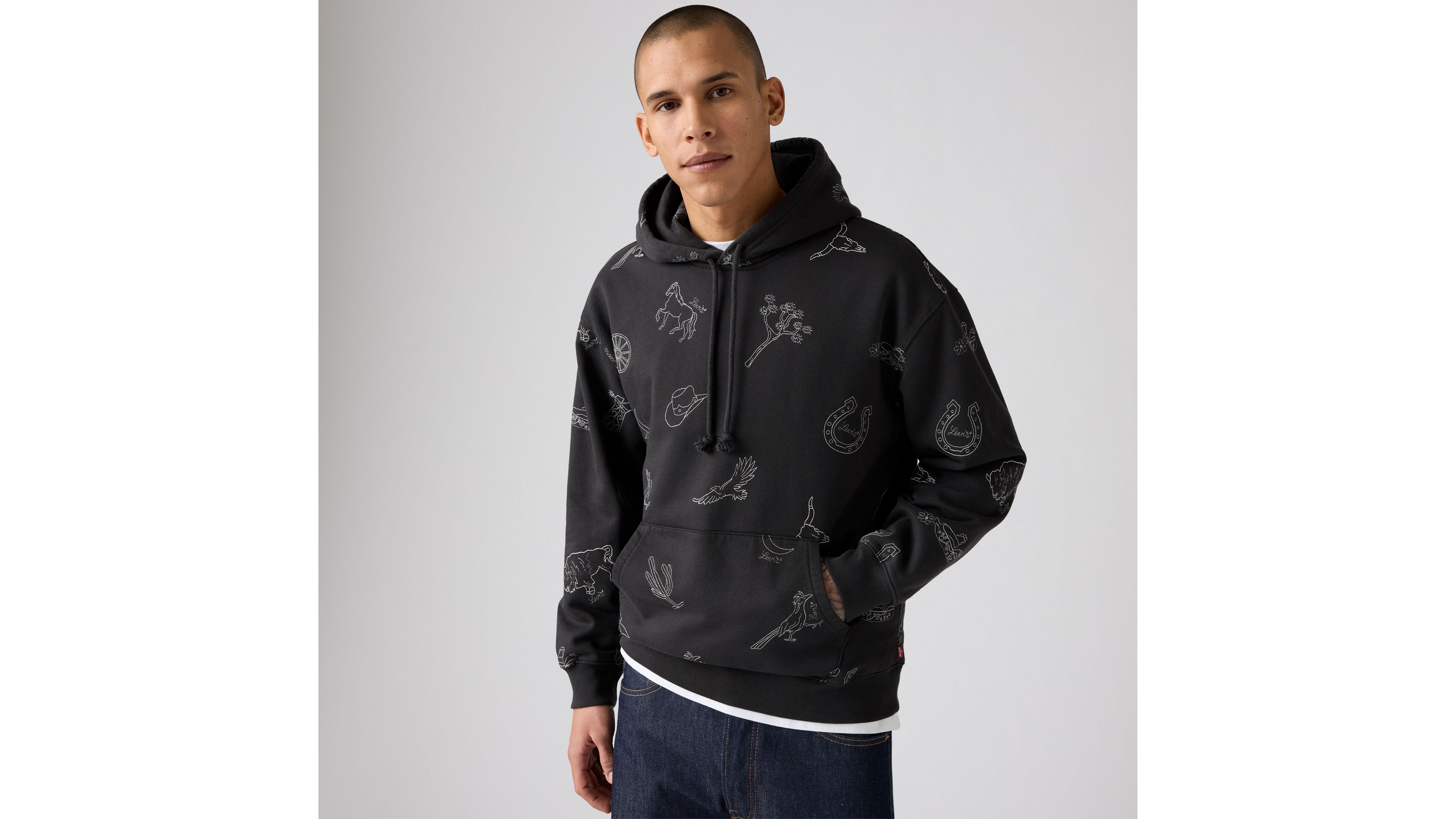 

Толстовка с капюшоном и вышивкой в стиле вестерн Levi's, Western Phantom - Black