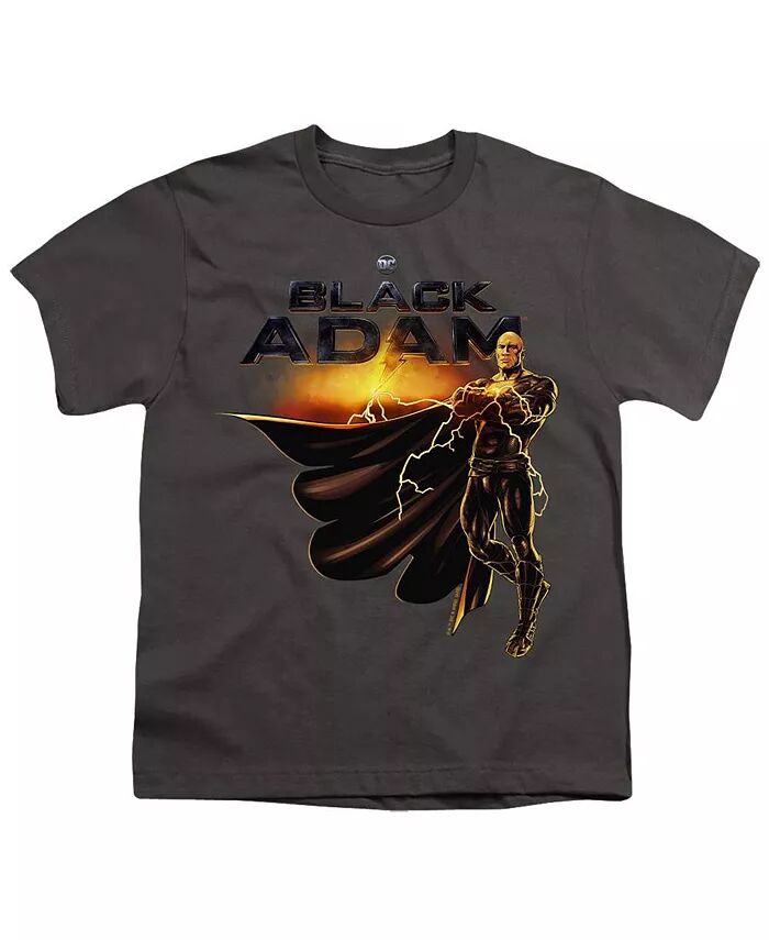 

Футболка с коротким рукавом и логотипом для мальчиков Black Adam, серый