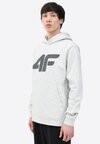 

Худи 4F, светло-серый