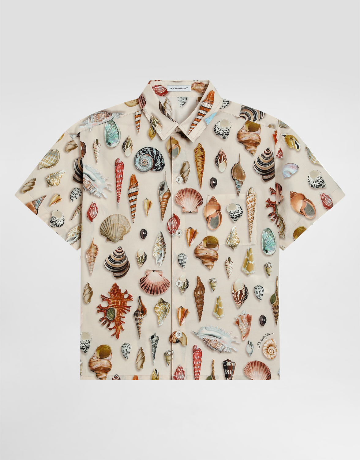 

Рубашка из поплина с принтом ракушек Dolce&Gabbana, мультиколор
