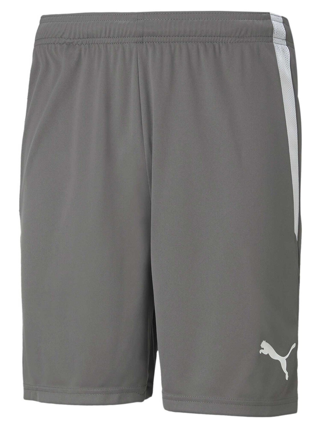 

Шорты Puma Team teamLIGA, серый