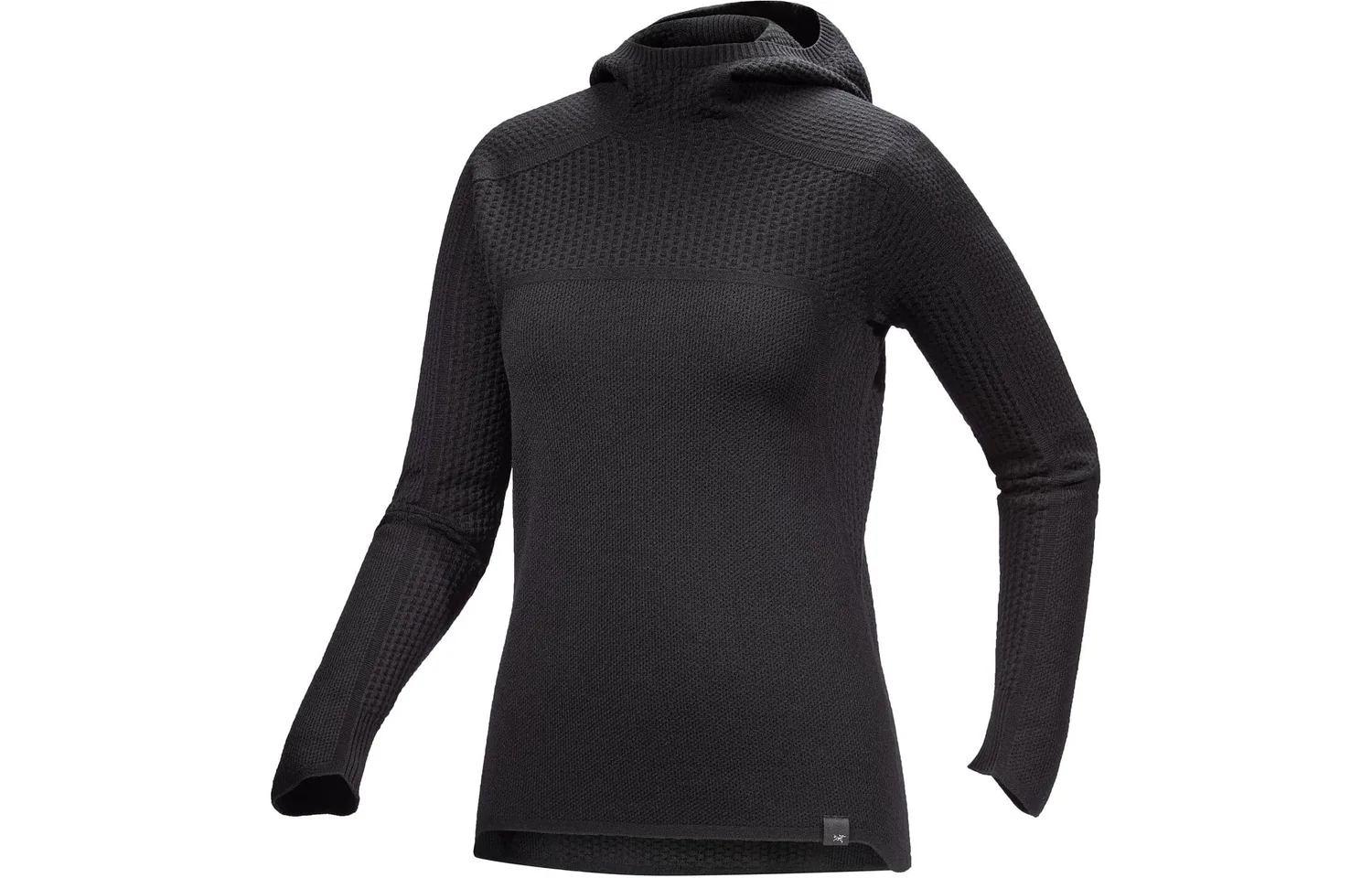Толстовка с капюшоном из мериносовой шерсти Hallam для женщин Arcteryx, Shell Chestnut Pink — фото 3