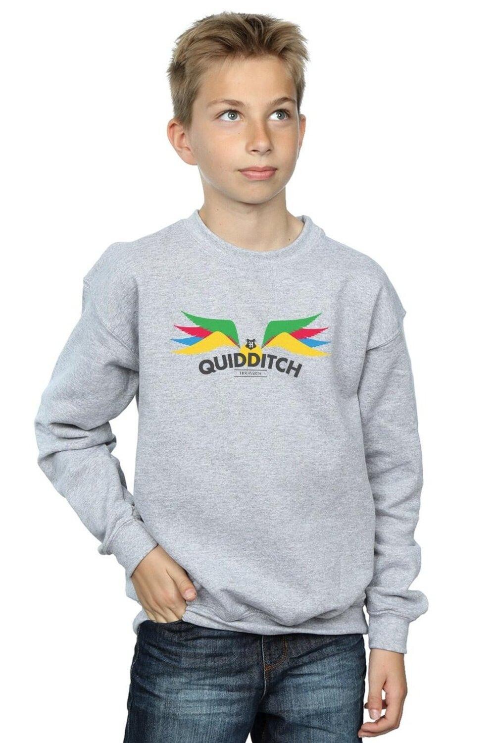 

Толстовка Snitch Wings Pastels Harry Potter, серый
