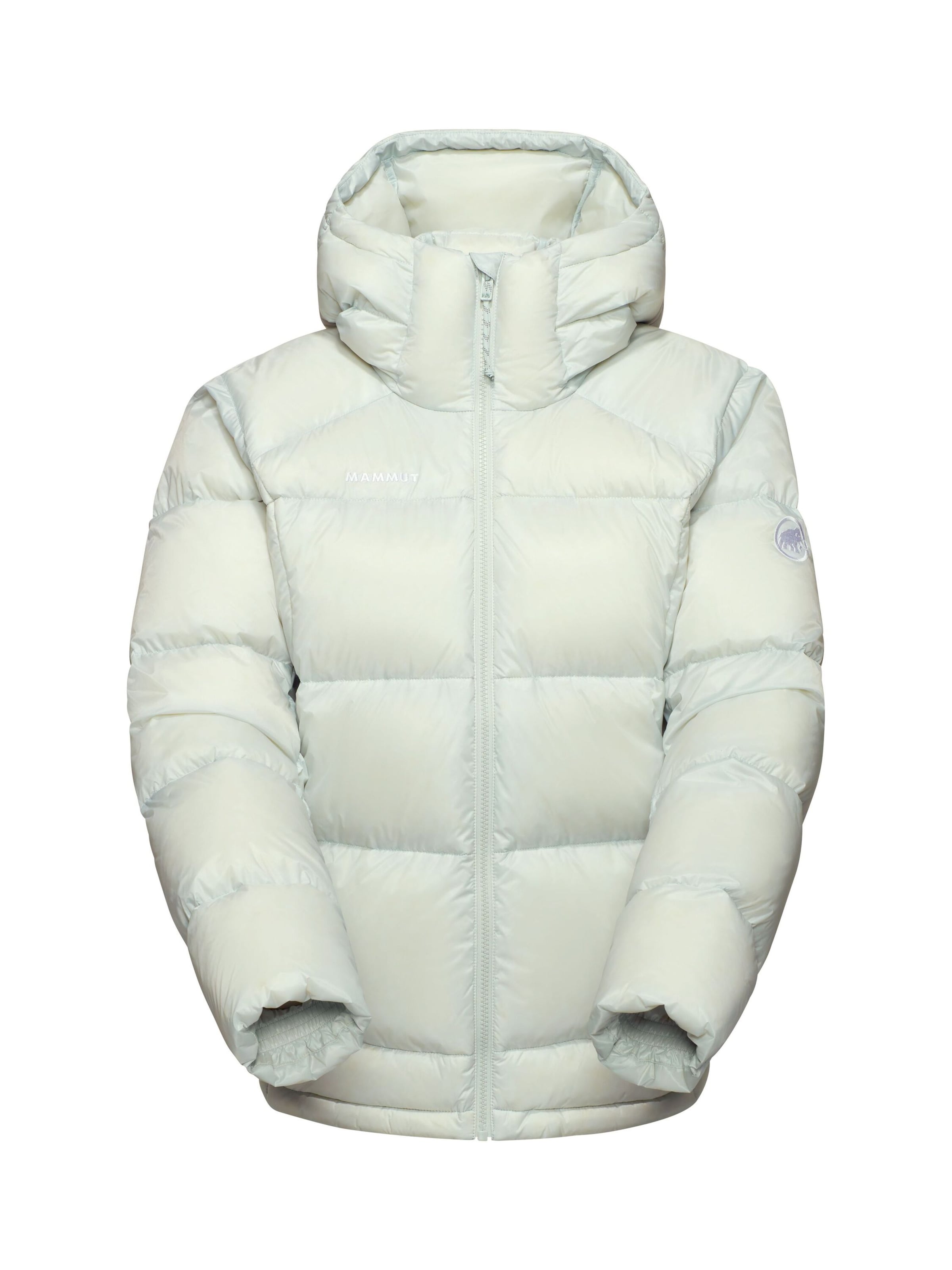 

MAMMUT Куртка Outdoor 'Glacier Glow IN' в цвете Pastel Green