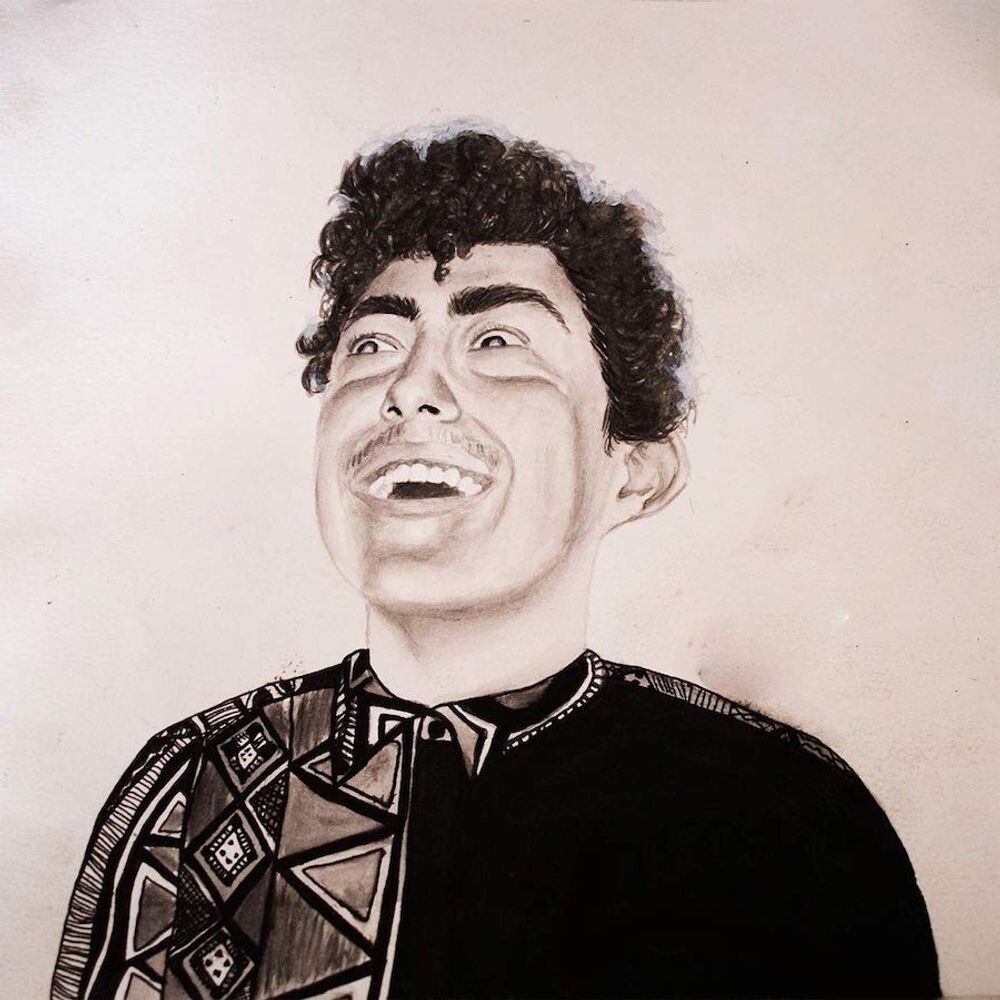 

Виниловая пластинка LP The Rise Of Hobo Johnson - Hobo Johnson