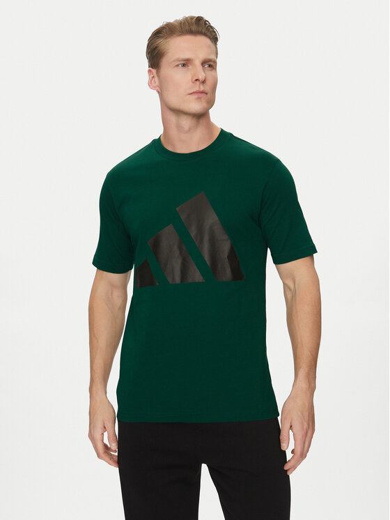 

Футболка обычного кроя Essentials Big Logo JE8932 Adidas, зеленый