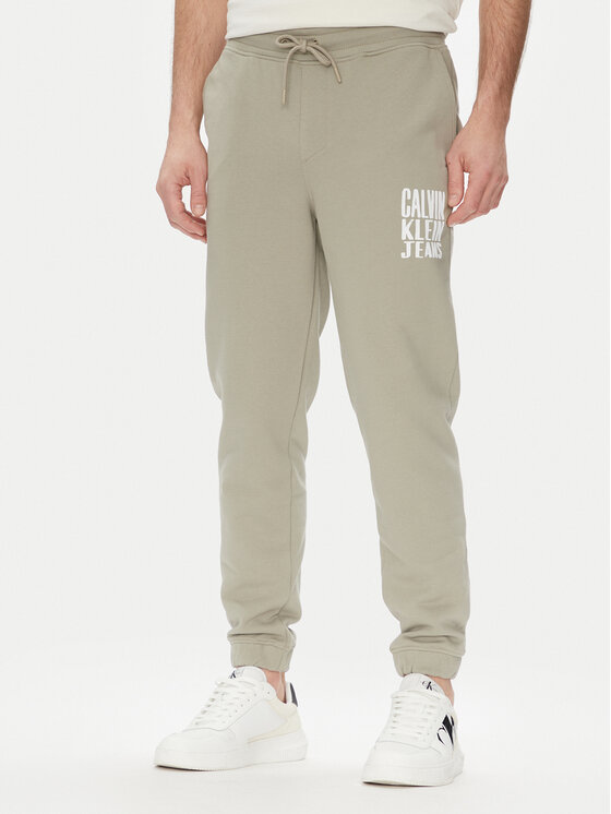 

Спортивные брюки обычного кроя Painted J30J327535 Calvin Klein Jeans, зеленый
