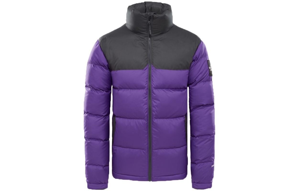 

Коллекция 1992 года, пуховик мужской, фиолетовый The North Face, фиолетовый