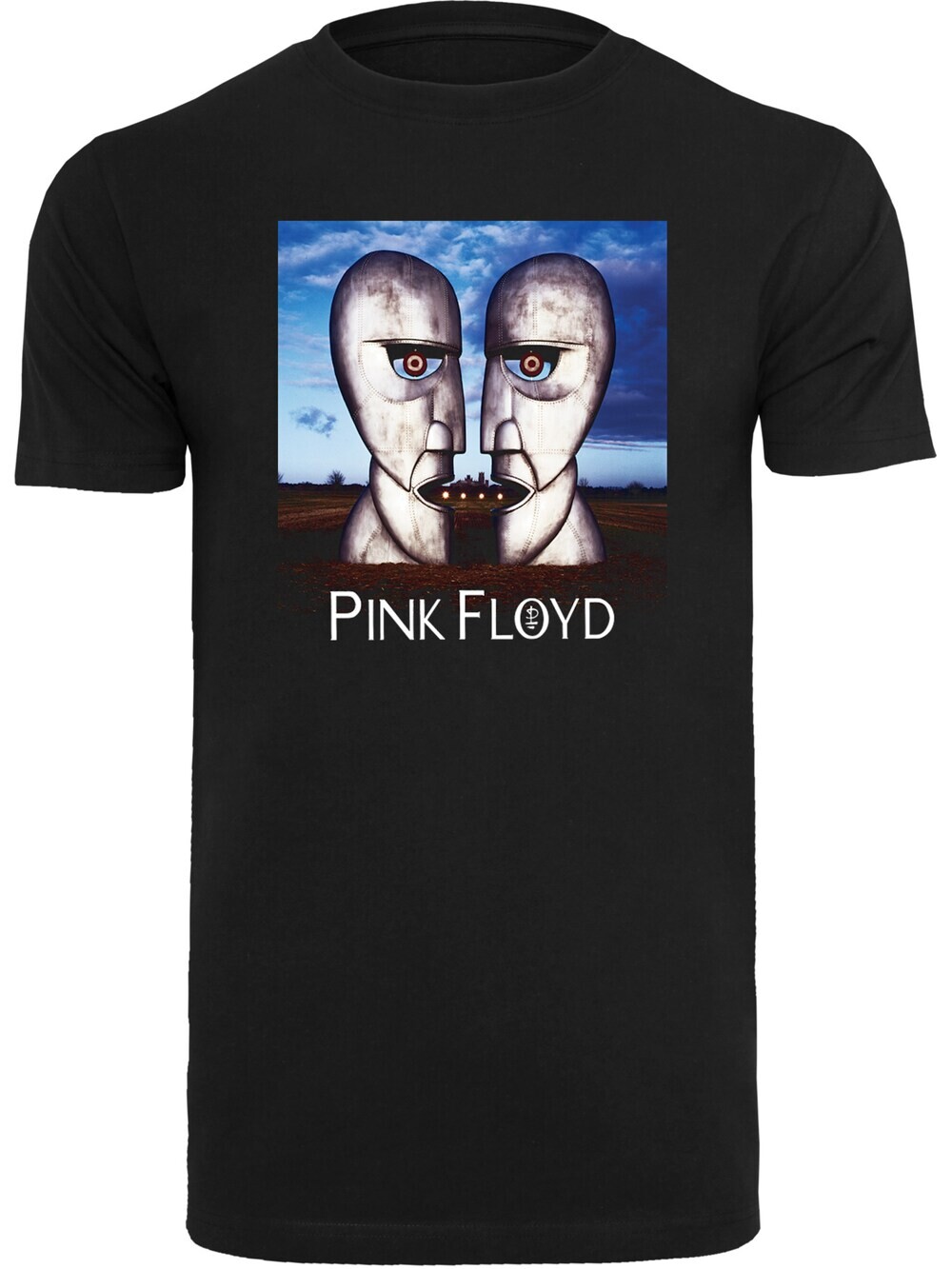 

Футболка F4Nt4Stic Pink Floyd The Division Bell, черный