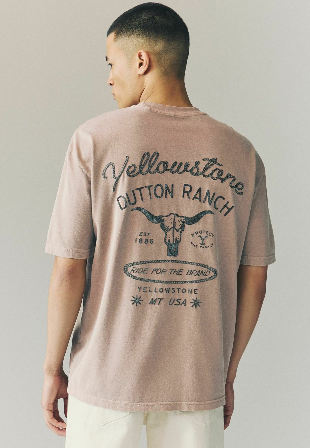 

Футболка с принтом YELLOWSTONE GRAPHIC Next, бежевый