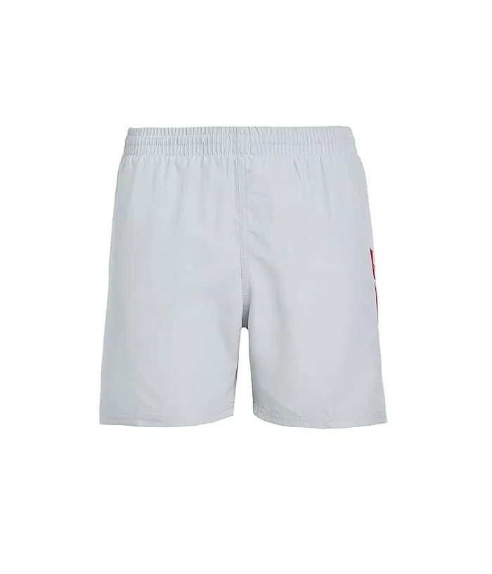 Плавки Nike Kids Breaker Cutout Swoosh 4" Brief Lined Volley, Wolf Grey