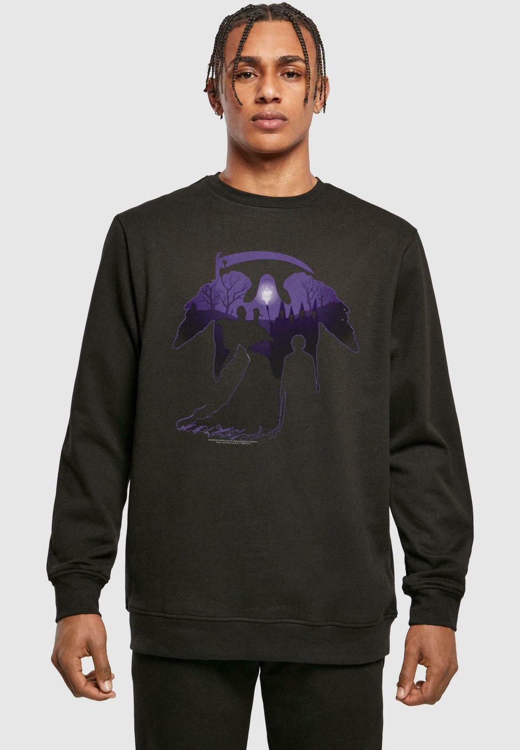 

Толстовка HARRY POTTER GRAVEYARD CREWNECK ABSOLUTE CULT, черный