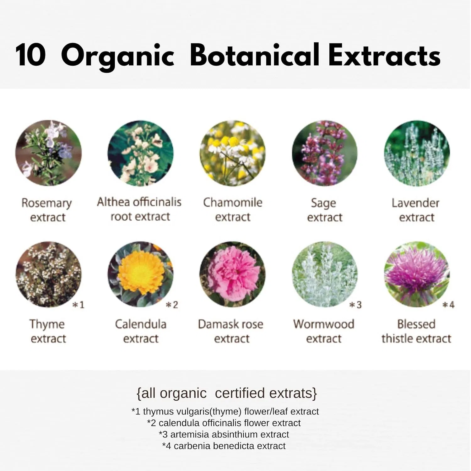 Молочко для тела «Botanical Body Milk Deep Moist» от Moist Diane Diane Botanical — фото 4