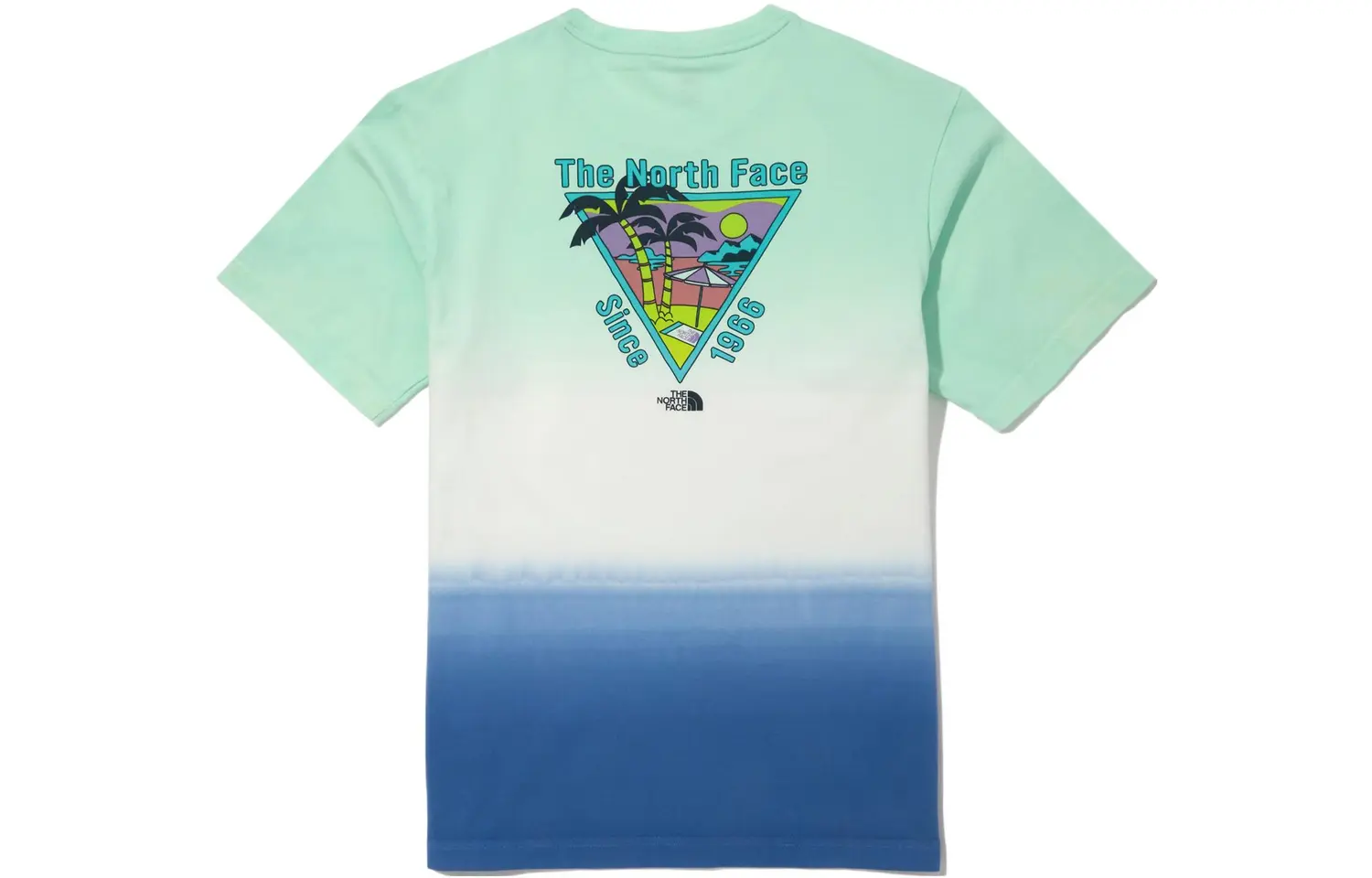 

Футболка унисекс зеленая синяя THE NORTH FACE