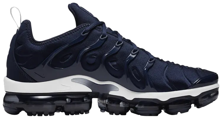 

Кроссовки Nike Air VaporMax Plus 2024, синий