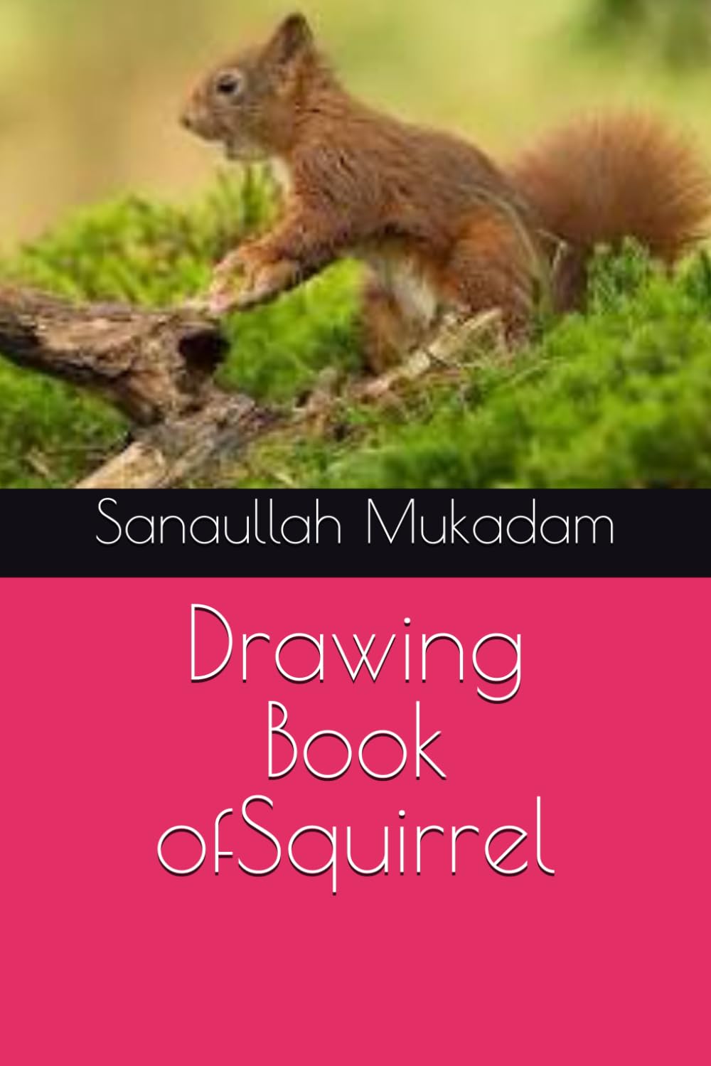 

Drawing Book ofSquirrel (Independently published)