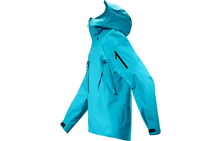 Arcteryx Куртка Arc'teryx Alpha Sv GORE TEX — фото 4