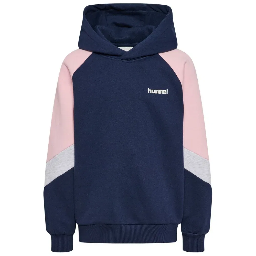 Худи свободного кроя Loose Blocked Hummel, синий