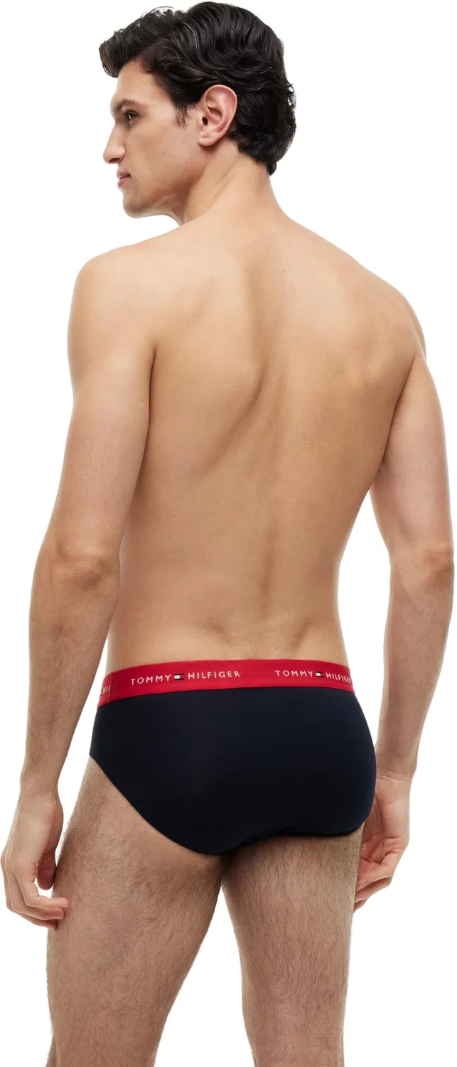 Мужские трусы-слипы с принтом Tommy Hilfiger, Multi (Primary Red/White/Desert Sky) — фото 2