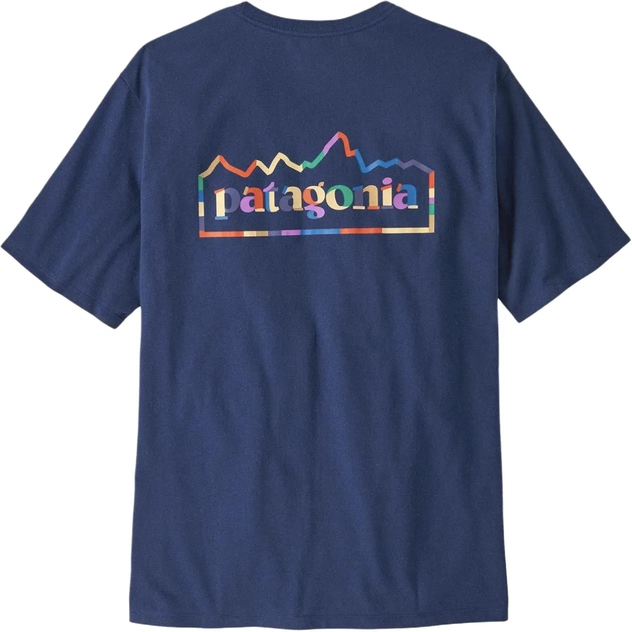 Мужская футболка с принтом Patagonia Unity Fitz T-shirt, Clmb