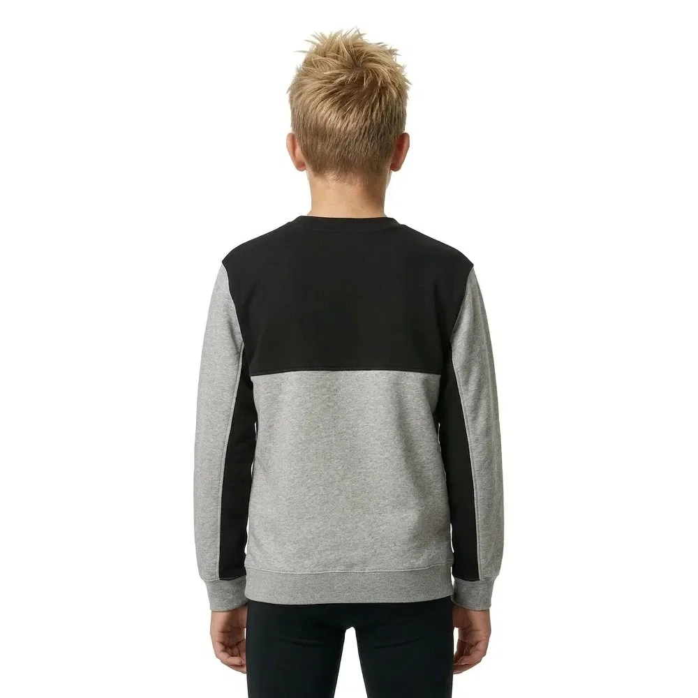Свитшот Knowledge Area Quiksilver, серый — фото 4