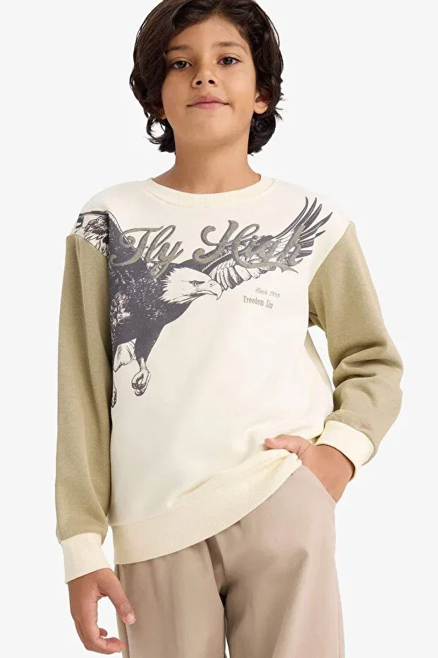 Детские свитшот для мальчиков с принтом Crew Neck Printed Soft Fleece Inside Defacto, Khaki