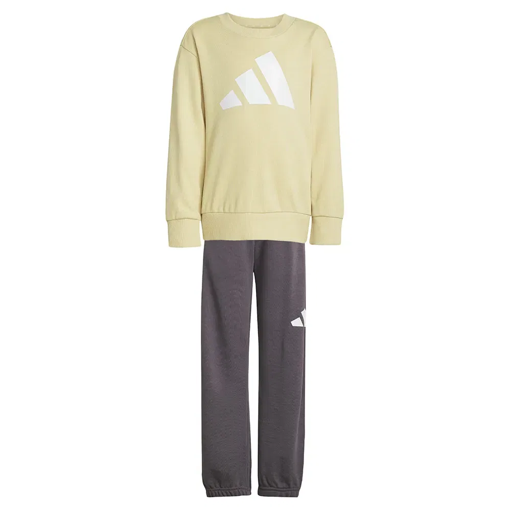 Комплект спортивных штанов Adidas Essentials Joggers, желтый — фото 3