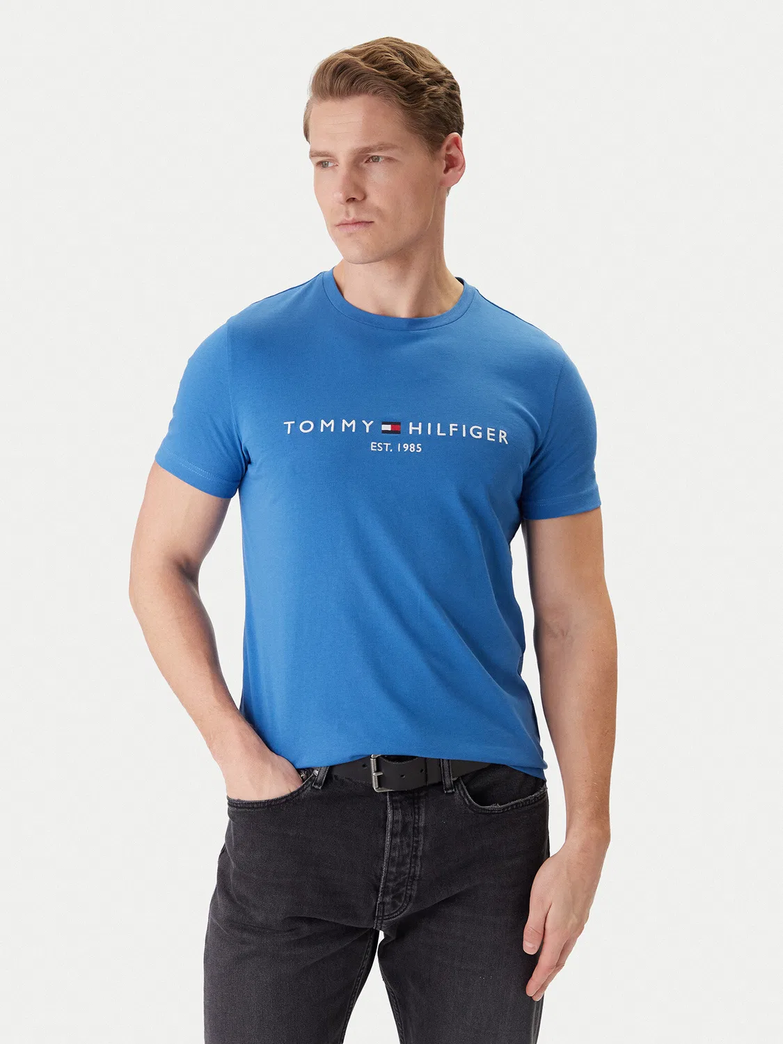 Мужская футболка Tommy Hilfiger, синий