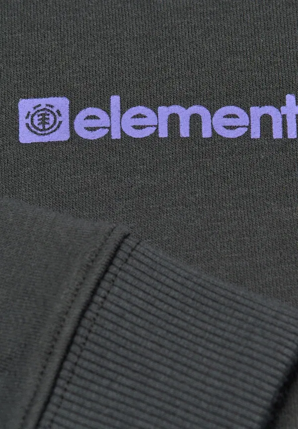 Одежда Jungen 8-16 | Верхняя одежда elbsf00245 - худи Element — фото 3