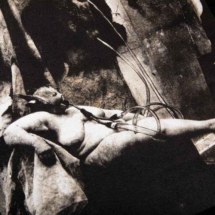 Толстовка Supreme x Joel-Peter Witkin Sanitarium Hooded Sweatshirt 'Black', черный — фото 4