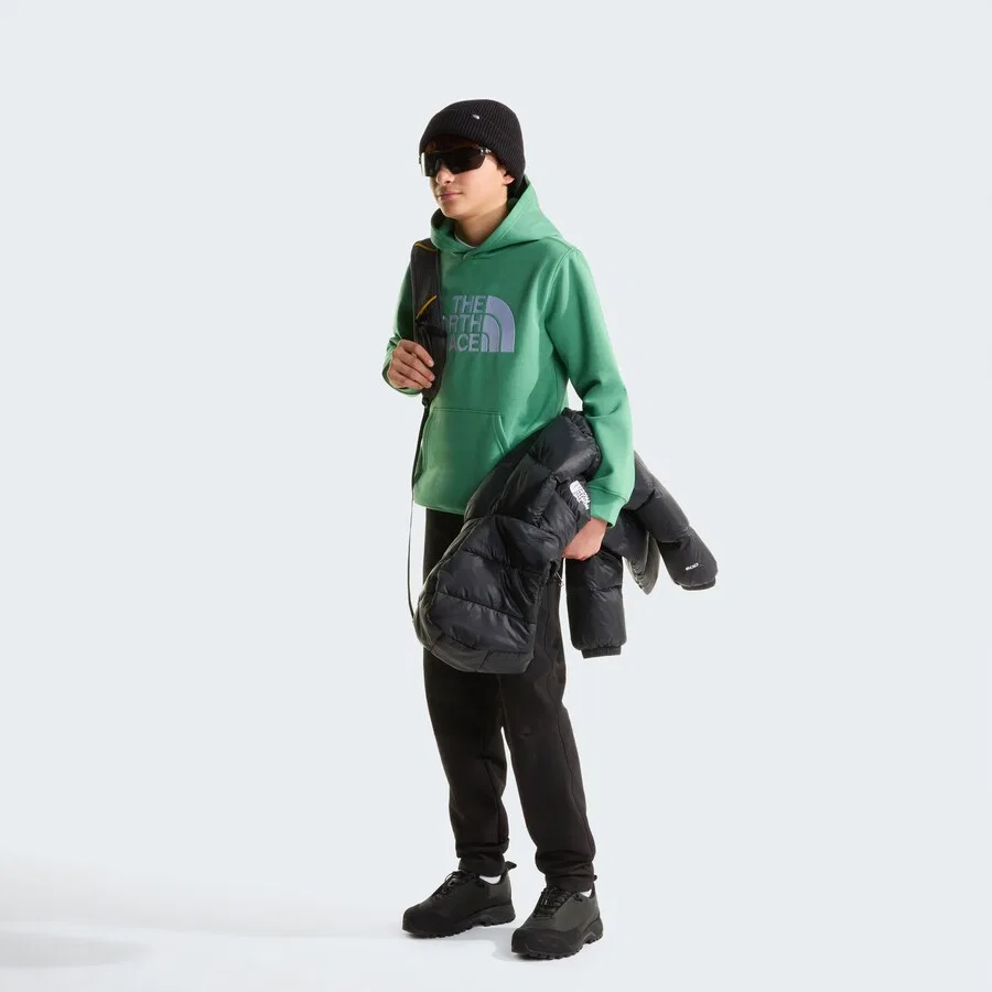 Спортивная толстовка The North Face цвета лайма