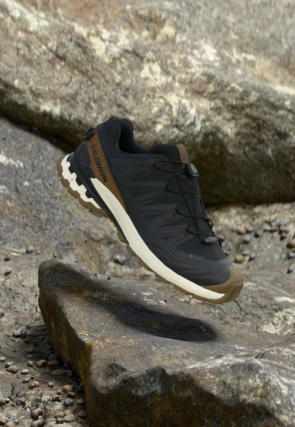Кроссовки для бега по пересеченной местности xa pro 3d v9 gtx lifelong Salomon, Black/Coyote Brown/Vanilla Ice