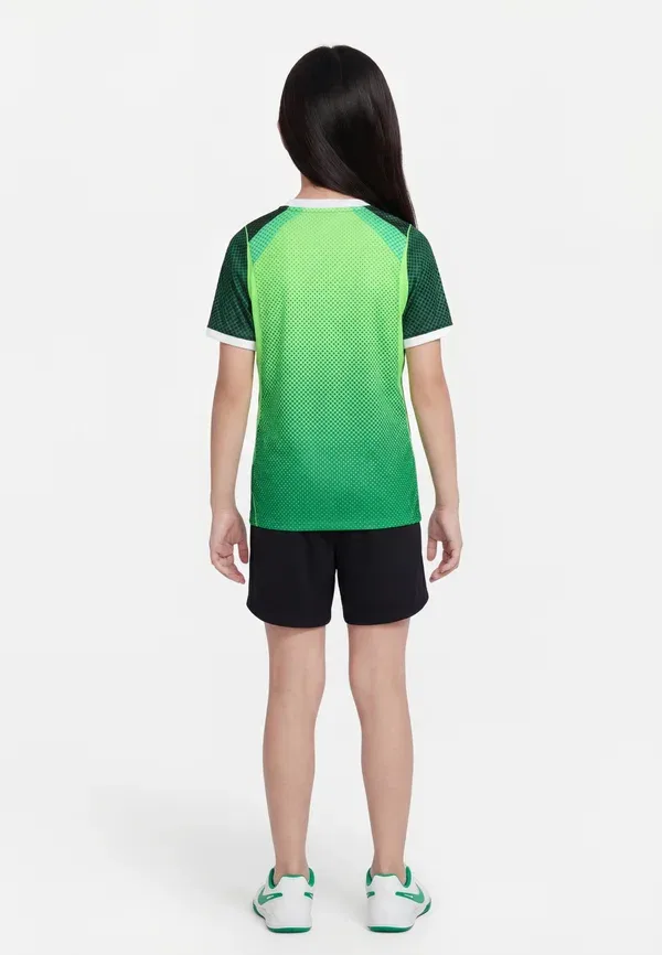 Футбольная футболка с технологией Dri-fit Nigeria nff stad unisex Nike Performance pine green, electric green, white, белый/зеленый — фото 2