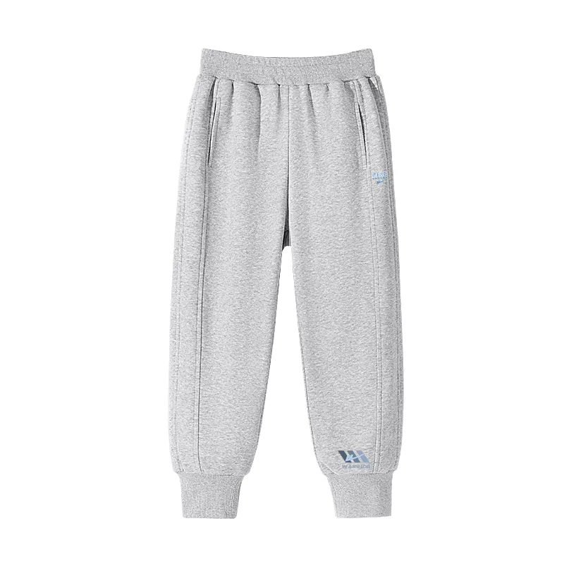 Детские спортивные штаны с принтом, Triple Logo, WARRIOR, Gray/H Blue White Line K+H Triple Logo Lower Left K