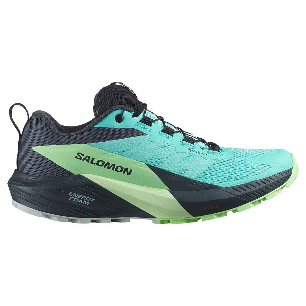 

Кроссовки Salomon Sense Ride 5 Goretex Trail, синий