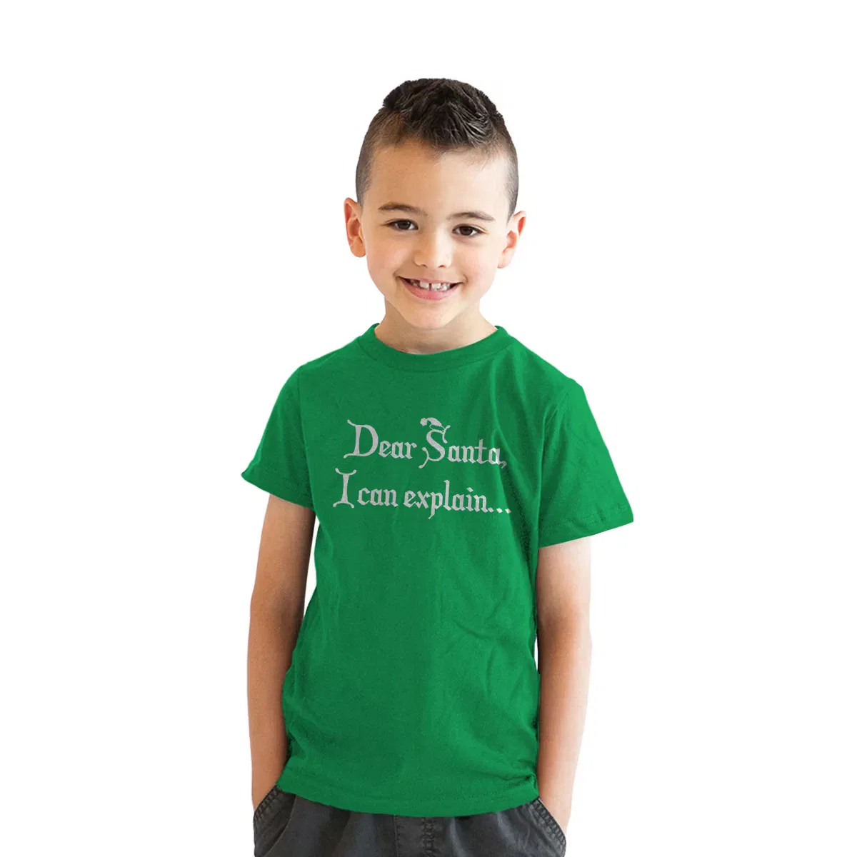 Футболка с принтом Dear Santa Crazy Dog T-Shirts
