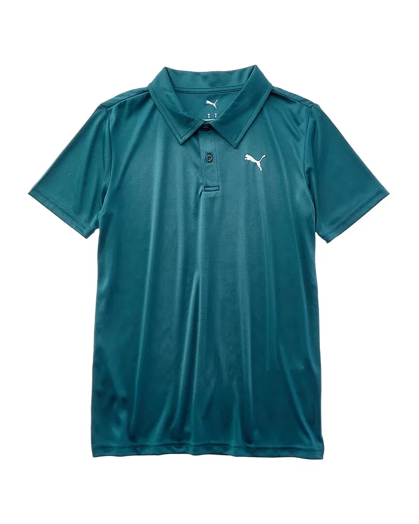 Детское поло для мальчиков с коротким рукавом PUMA Essential Performance Polo, синий