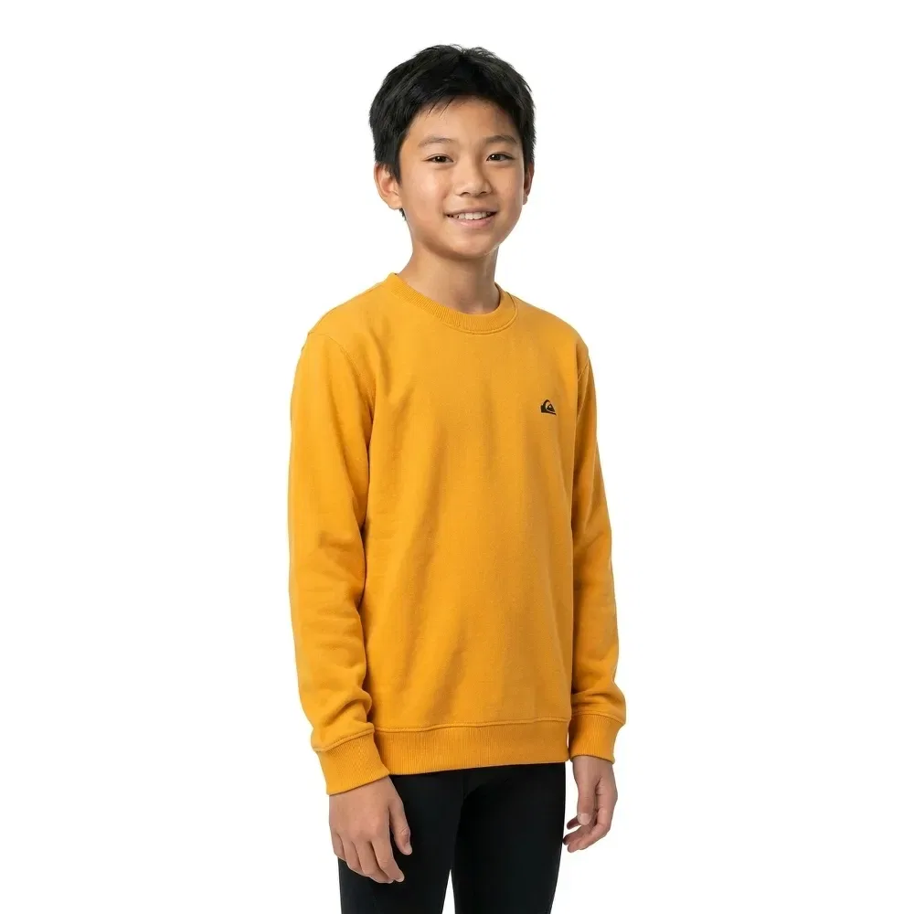 Свитшот Basic Quiksilver, желтый — фото 3