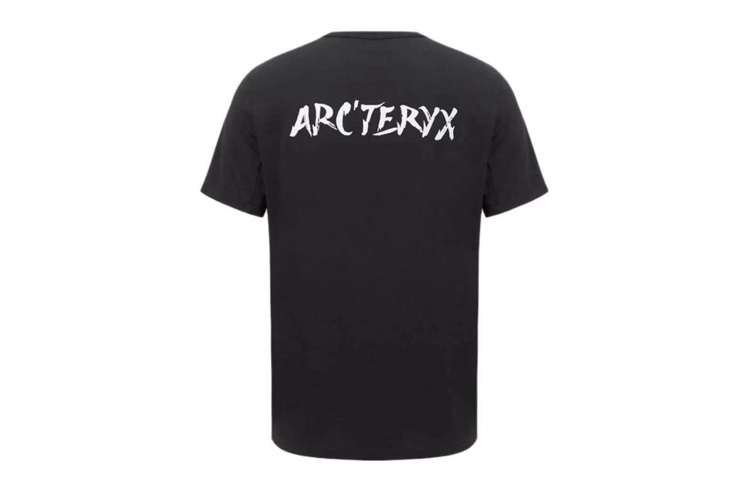 Футболка Captive с принтом, Arcteryx, Ivory White — фото 4