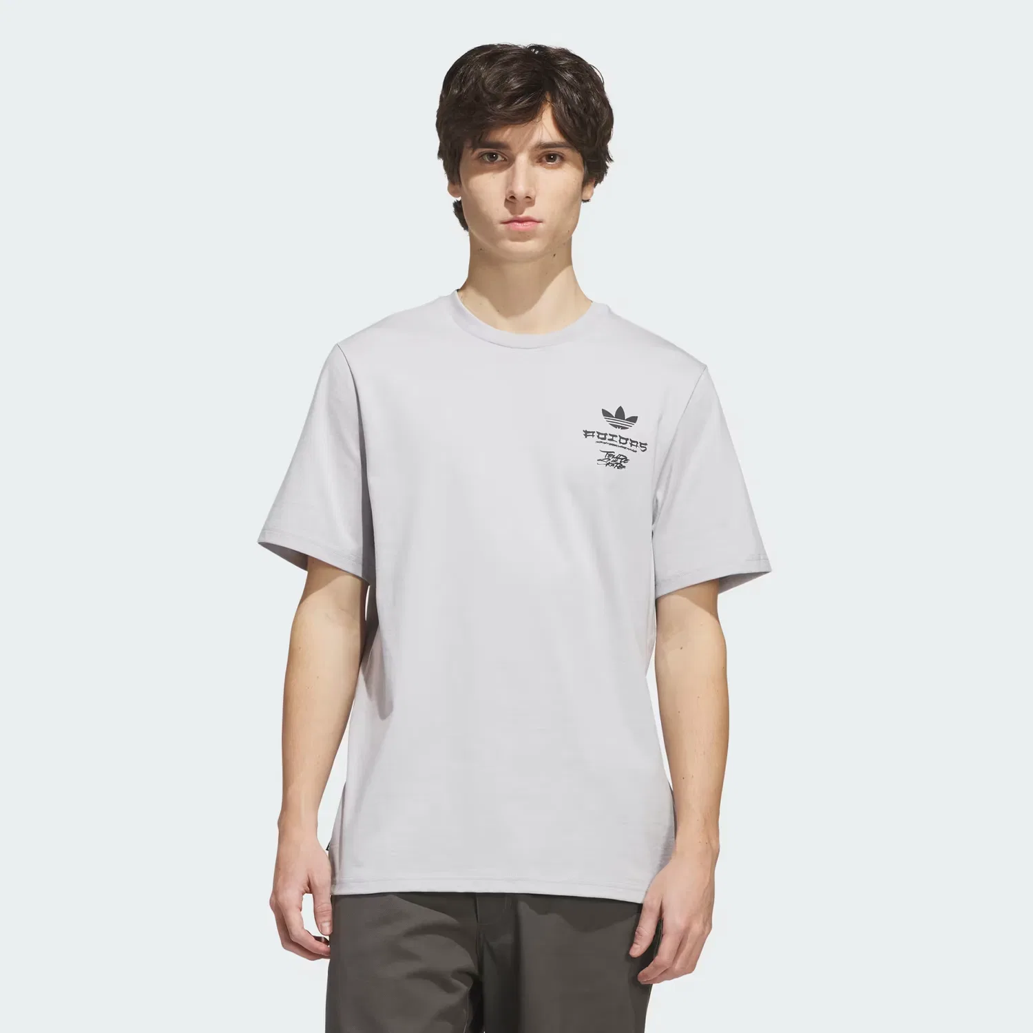 Футболка с принтом SKATEBOARDING x TEMPLE OF SKATE CRANE TEE Adidas Originals, светло-серый с черным — фото 3