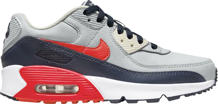 

Кроссовки Air Max 90 Leather GS 'Light Smoke Bright Crimson', серый